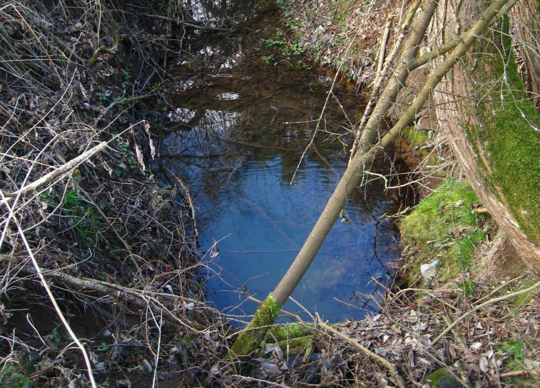 orez mokrad orez mokrad