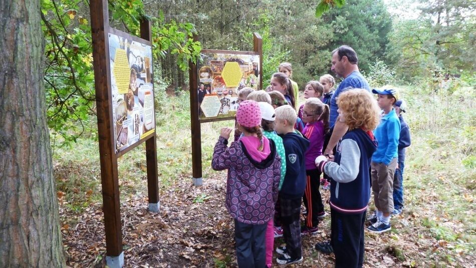 sofronka-p1020572-950x535